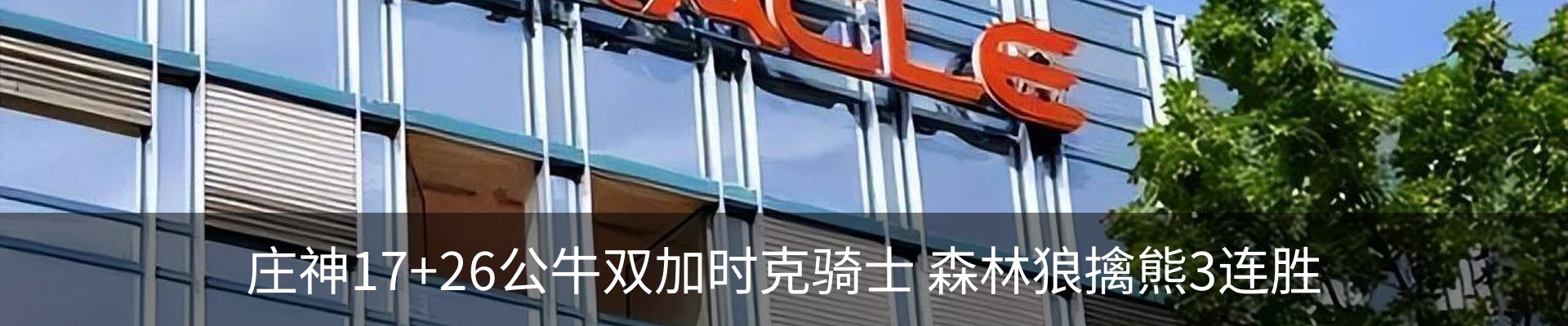 新闻动态